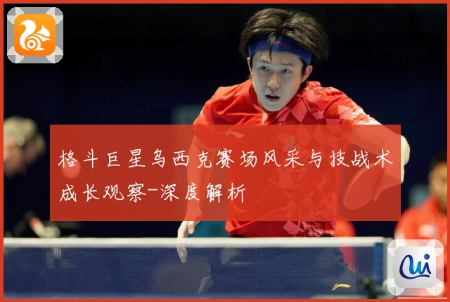 格斗巨星乌西克赛场风采与技战术成长观察-深度解析