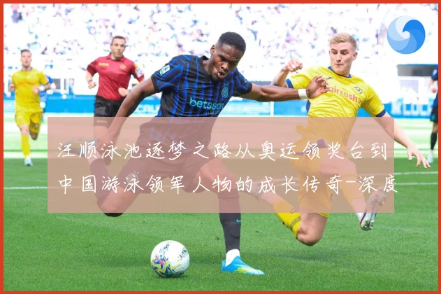 汪顺泳池逐梦之路从奥运领奖台到中国游泳领军人物的成长传奇-深度解析